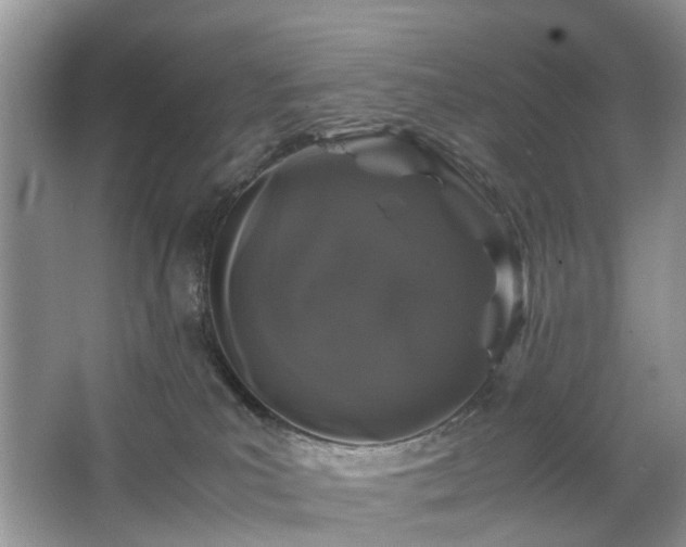 X0000063460039200601231430