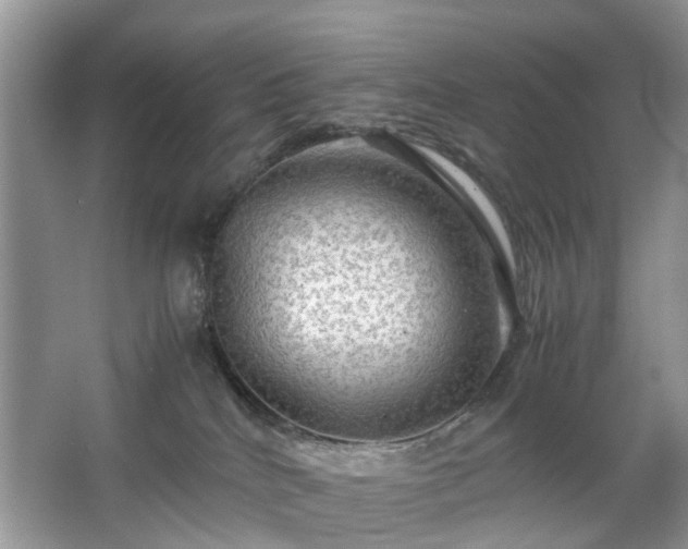 X0000063460040200601231430