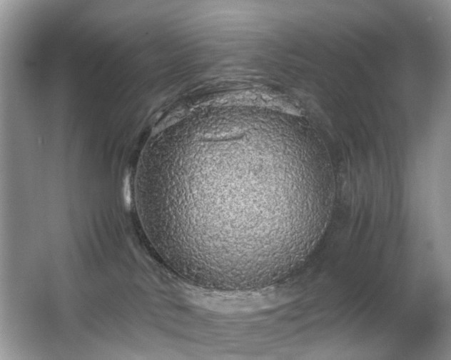 X0000063460042200601231430