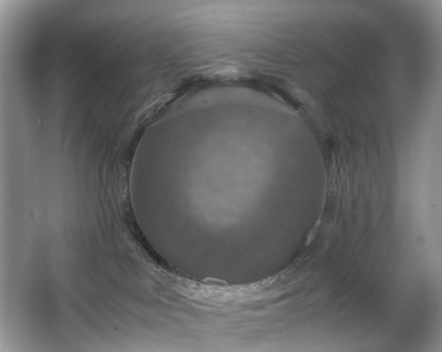 X0000063460043200601231430