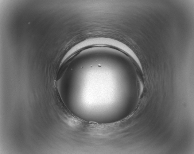 X0000063460045200601231430