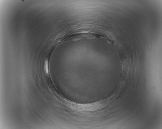 X0000063460046200601231430