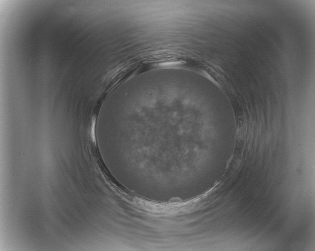 X0000063460047200601231430