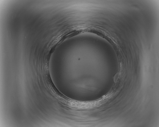 X0000063460048200601231429