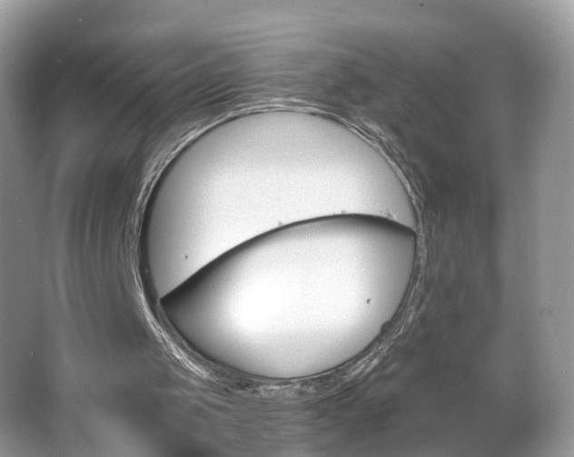 X0000063460049200601231429