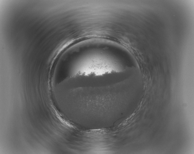 X0000063460050200601231429