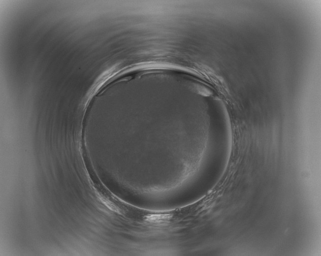 X0000063460051200601231429