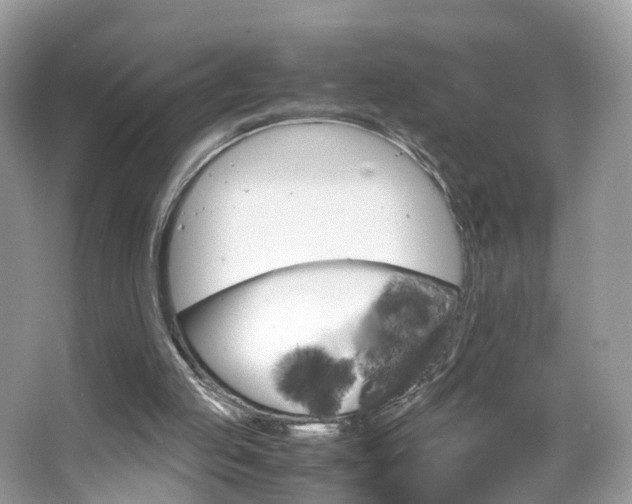 X0000063460053200601231429