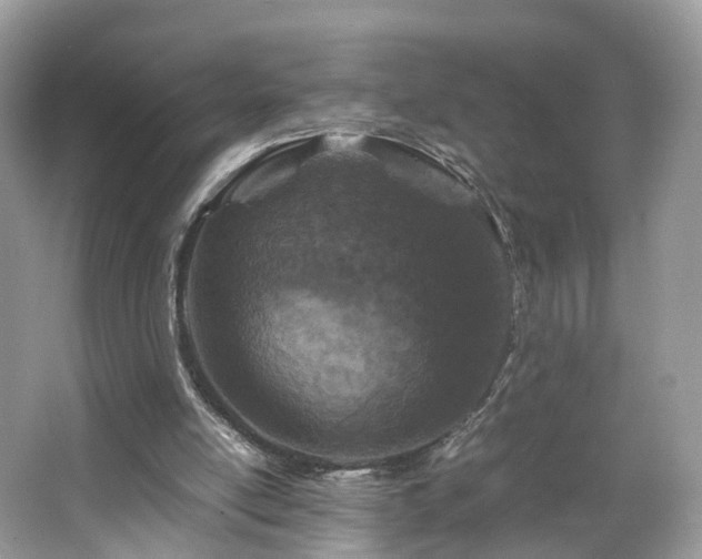 X0000063460054200601231429