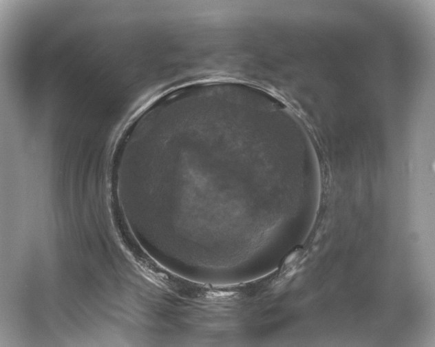 X0000063460055200601231429