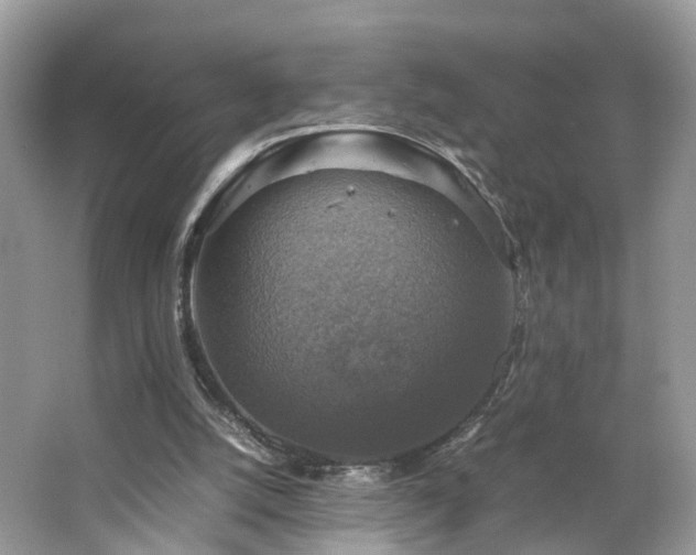 X0000063460056200601231429