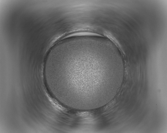 X0000063460058200601231429