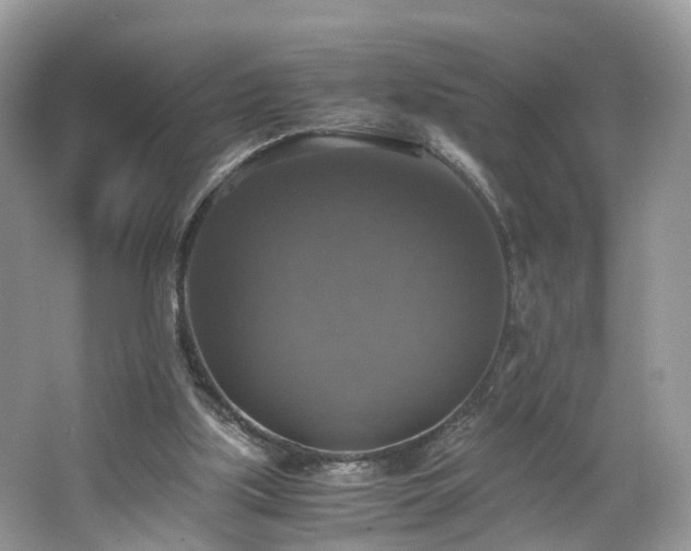 X0000063460059200601231429