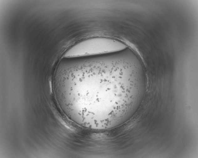 X0000063460061200601231429