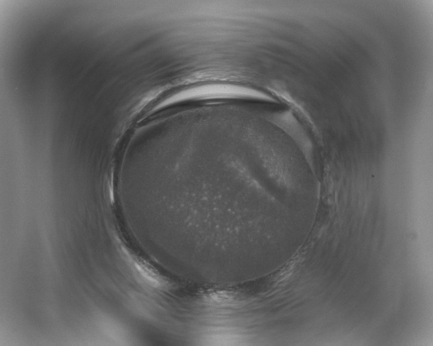 X0000063460062200601231429