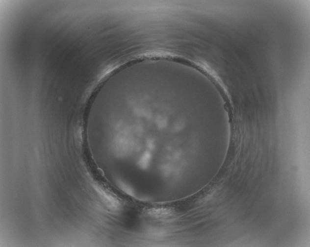 X0000063460063200601231429