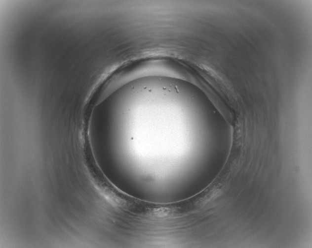 X0000063460064200601231429