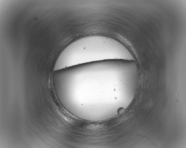 X0000063460065200601231429