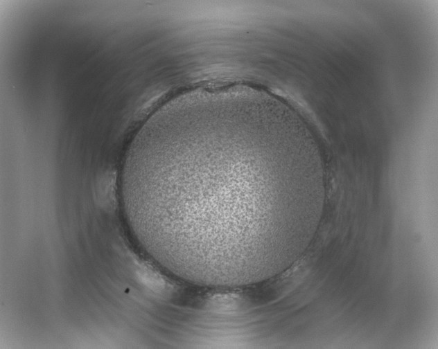 X0000063460066200601231429