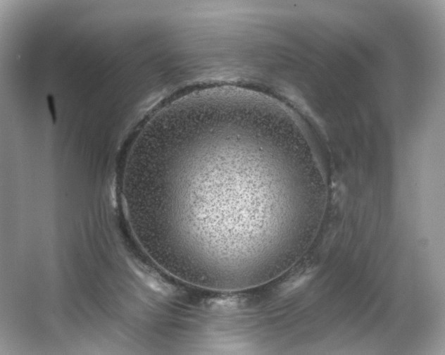 X0000063460068200601231429