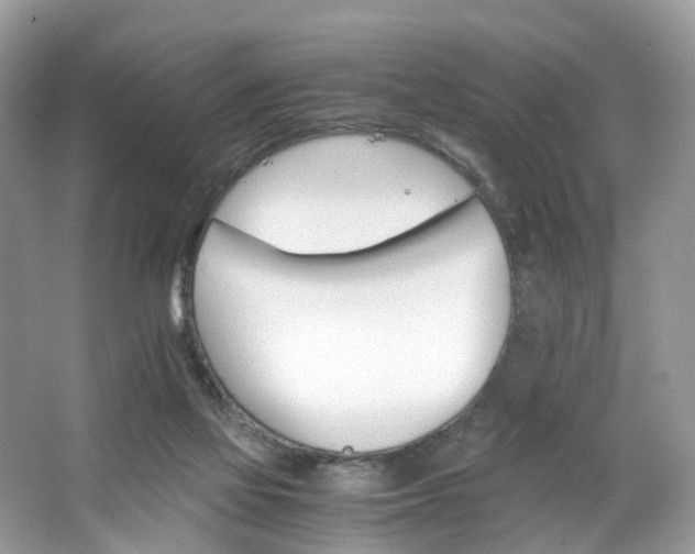 X0000063460069200601231429