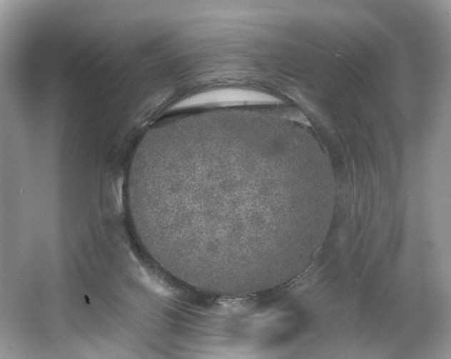 X0000063460070200601231429