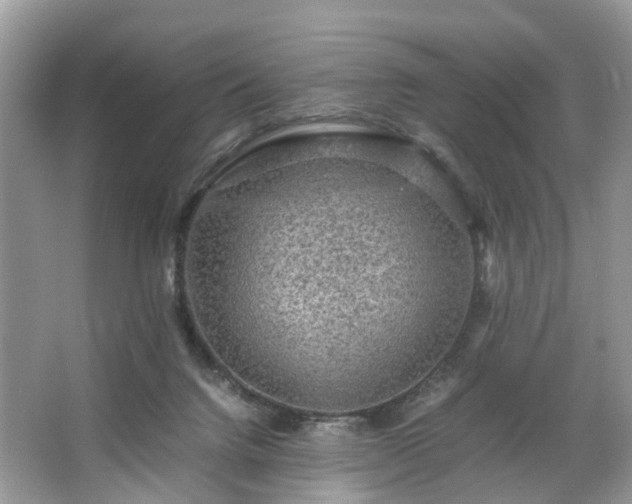 X0000063460072200601231429