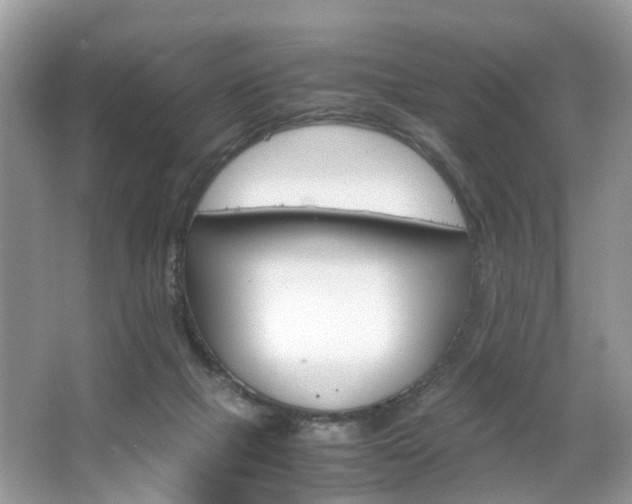 X0000063460073200601231429