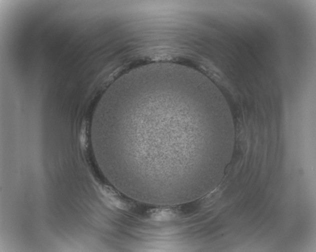 X0000063460074200601231429