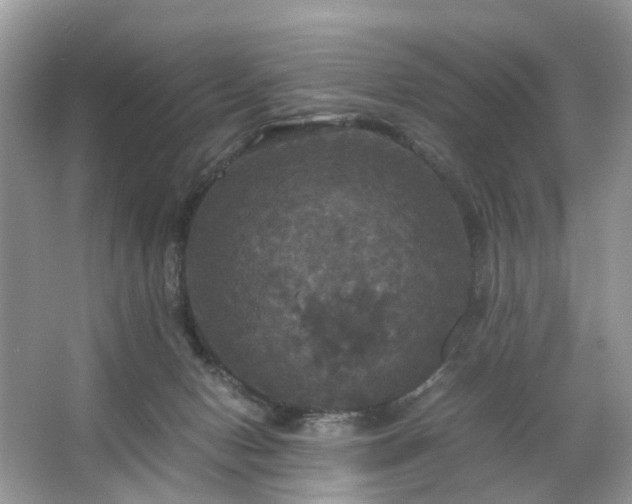 X0000063460078200601231429