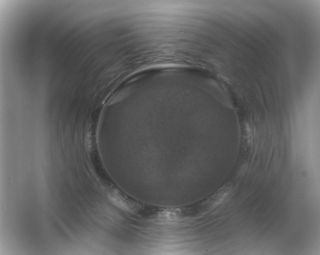 X0000063460080200601231429