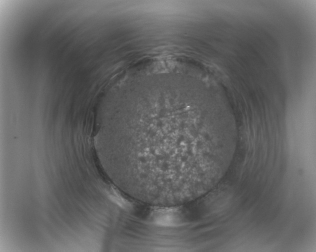 X0000063460081200601231429