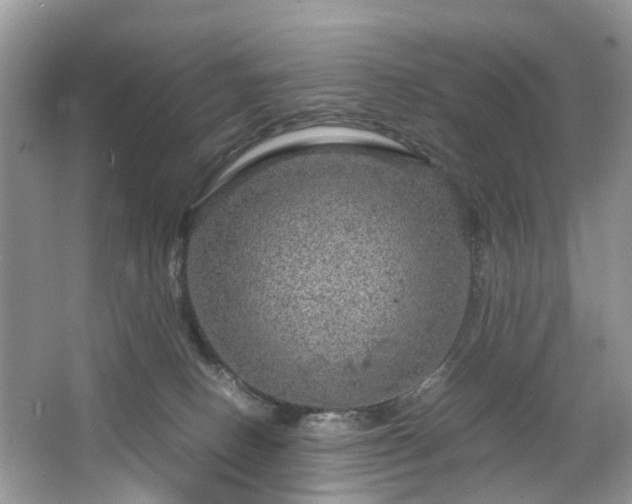 X0000063460082200601231429