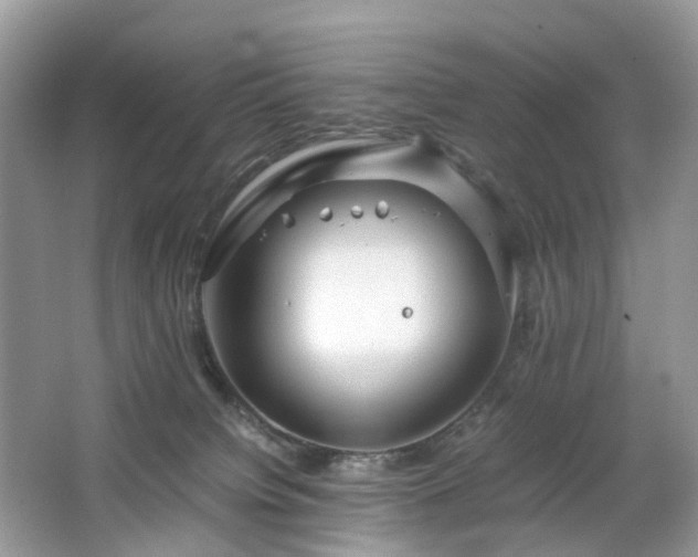 X0000063460084200601231429