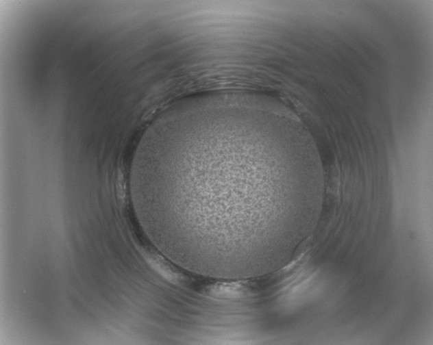 X0000063460086200601231429