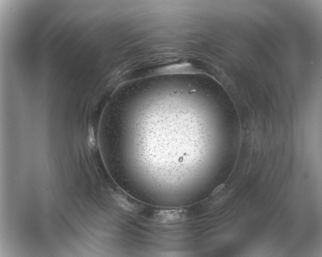 X0000063460089200601231429