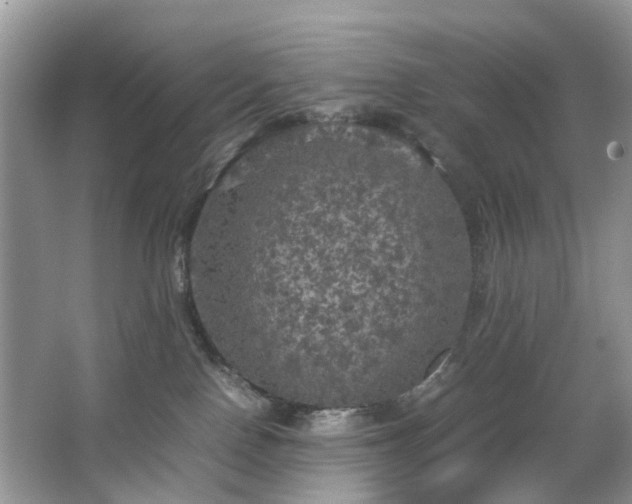 X0000063460090200601231429