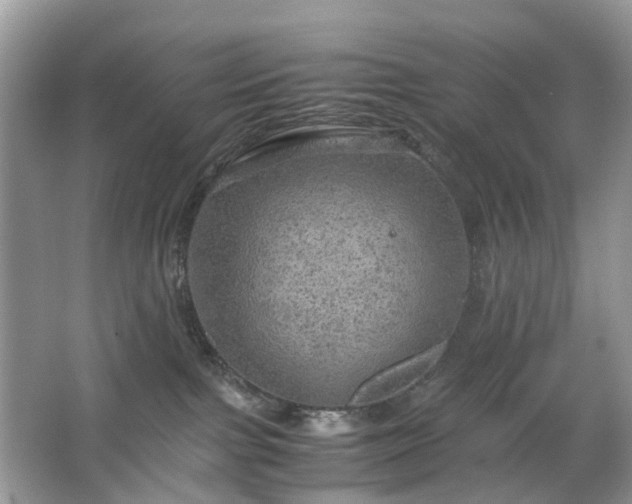 X0000063460091200601231429