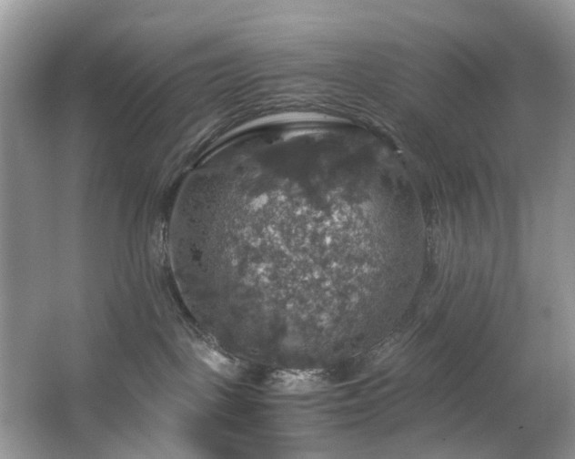 X0000063460093200601231429