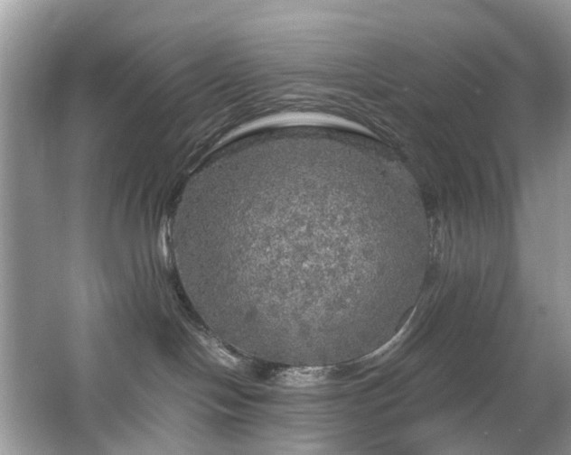 X0000063460094200601231429