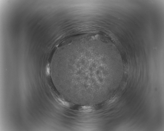 X0000063460095200601231429