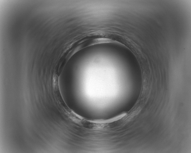 X0000063460096200601231429