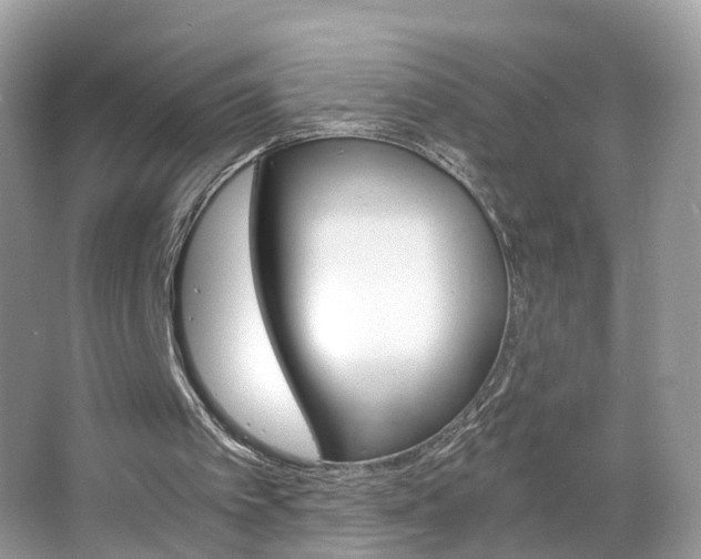 X0000063460097200601231429