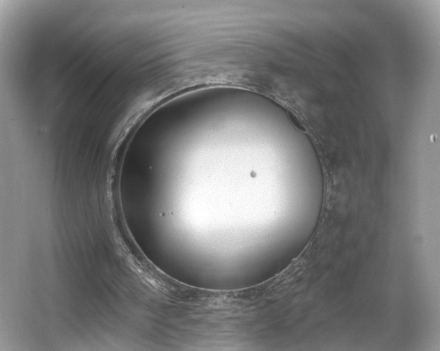 X0000063460098200601231429