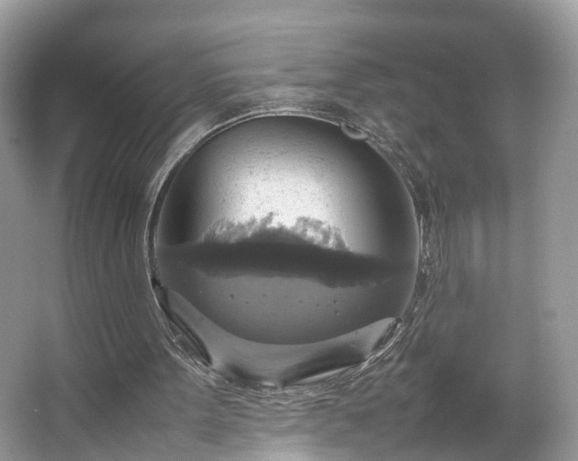 X0000063460099200601231429