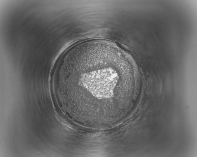 X0000063460100200601231429