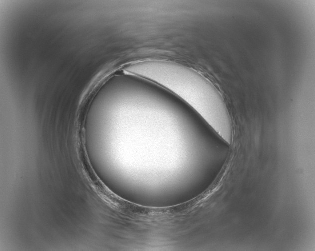 X0000063460101200601231429