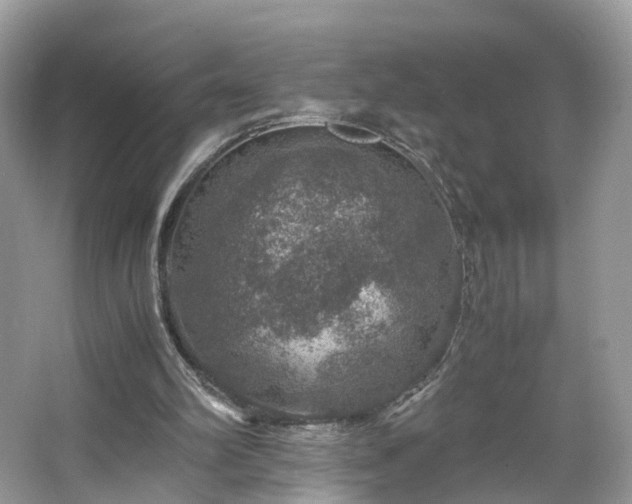 X0000063460102200601231429