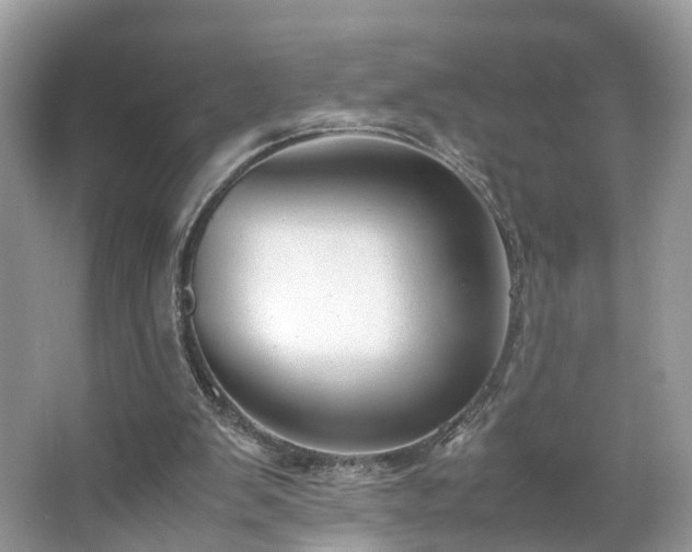 X0000063460103200601231429