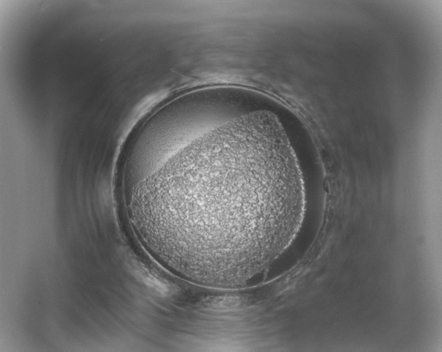 X0000063460104200601231429